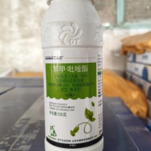 东泰40%苯甲吡唑酯杀菌剂葡萄白粉病
