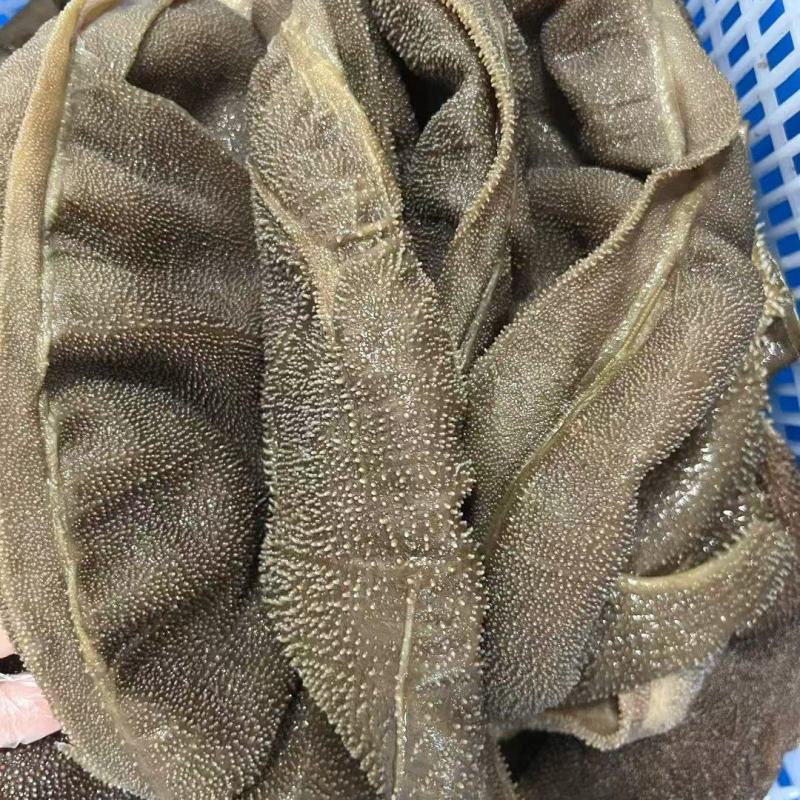 牛毛肚大叶片净重5斤每袋