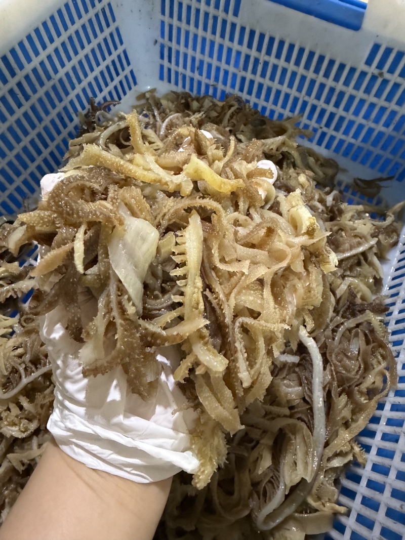 毛肚千层肚边角自助火锅冒菜店麻辣烫中餐凉拌均可用