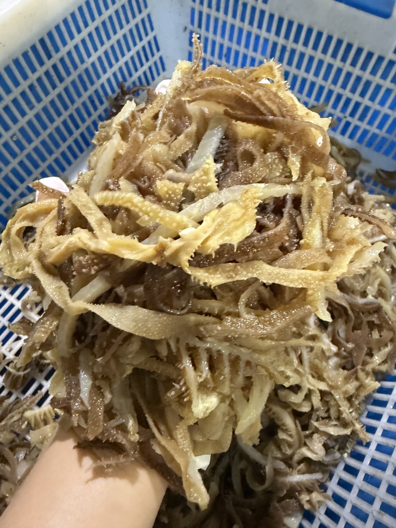 毛肚千层肚边角自助火锅冒菜店麻辣烫中餐凉拌均可用