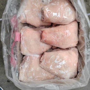 肥猪前后肘子6-7-8-9-10个头，规格全