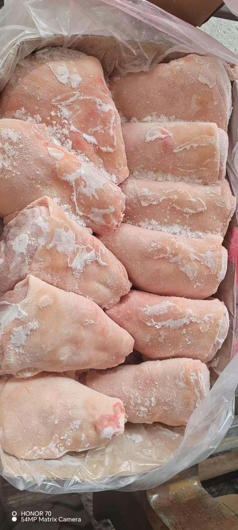 肥猪前后肘子6-7-8-9-10个头，规格全