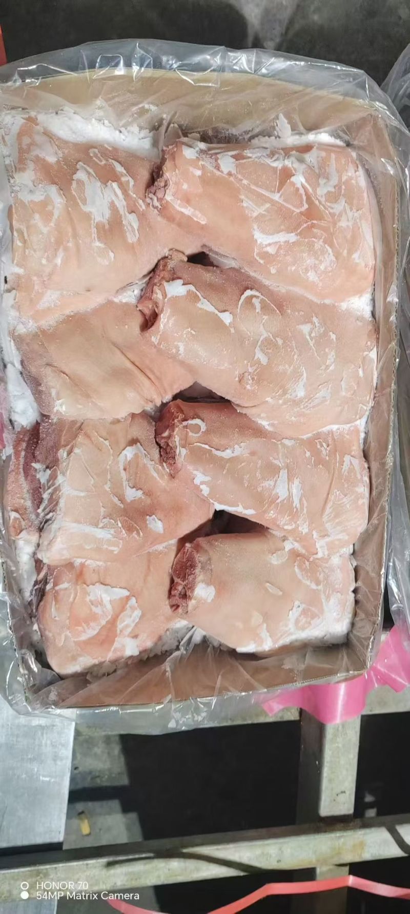 肥猪前后肘子6-7-8-9-10个头，规格全