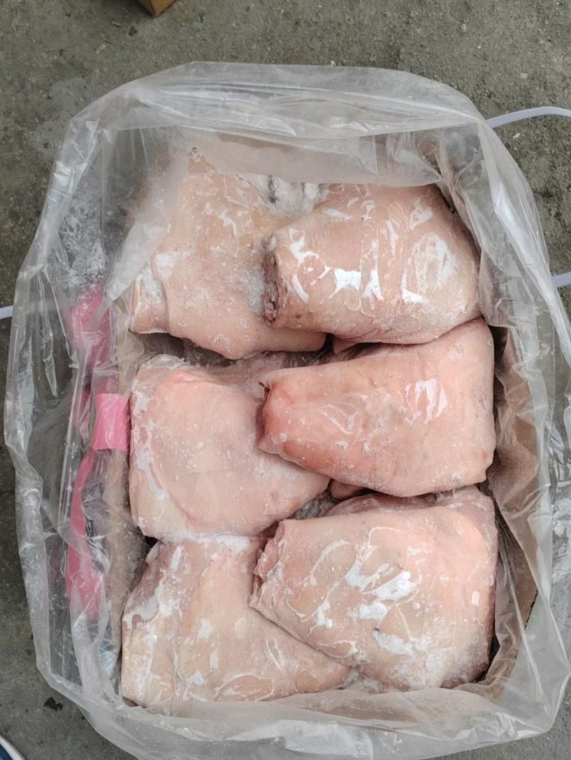 肥猪前后肘子6-7-8-9-10个头，规格全