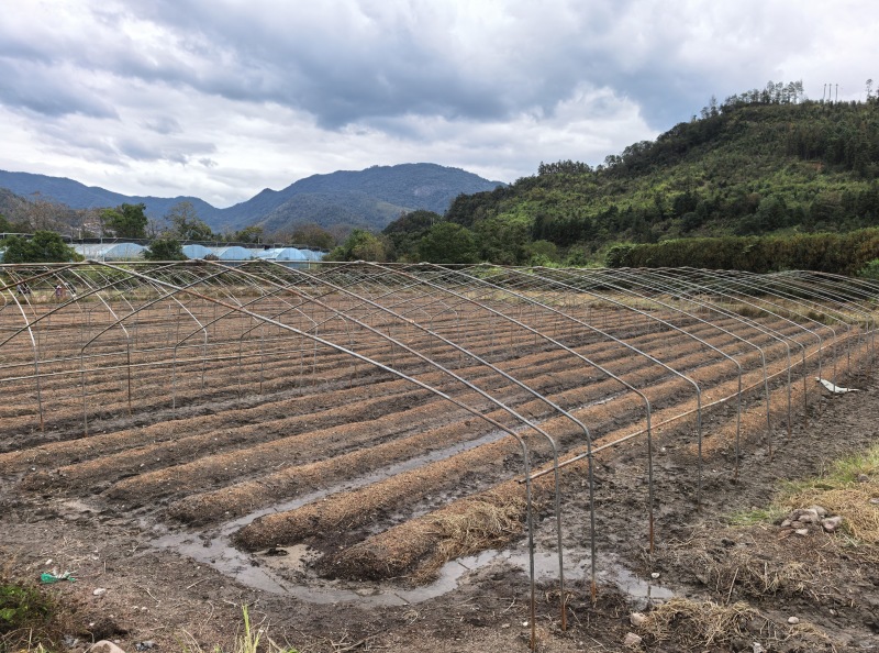 福建武夷山大棚钢管低价出售，有想要的联系