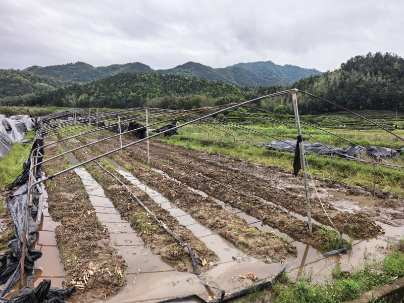 福建武夷山大棚钢管低价出售，有想要的联系