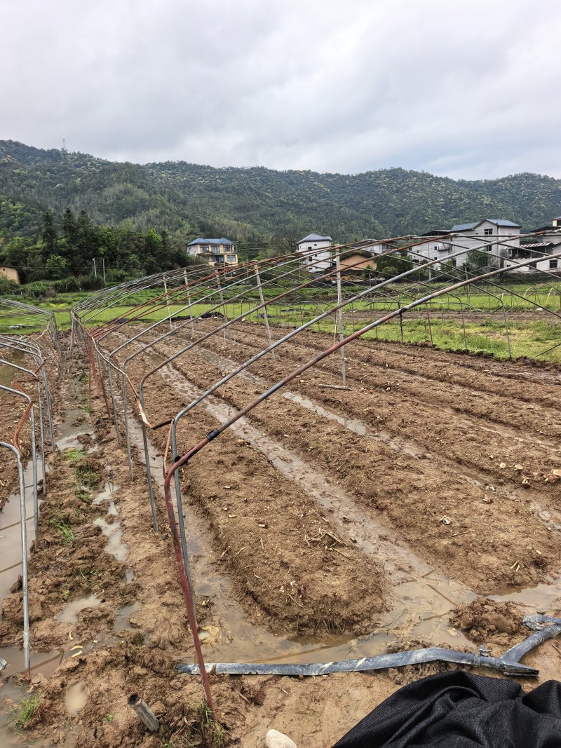 福建武夷山大棚钢管低价出售，有想要的联系