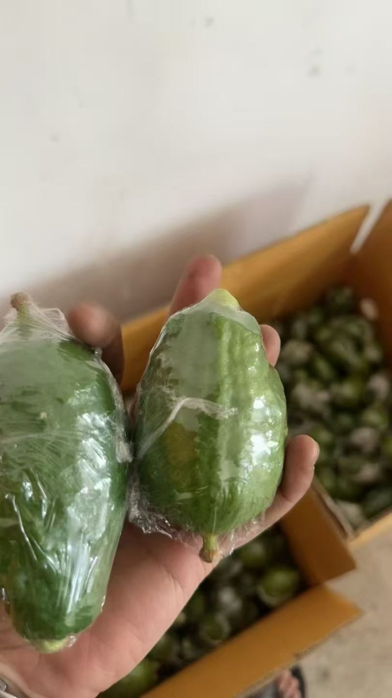 广东无籽香水柠檬，一级二级，大量供应，欢迎合作