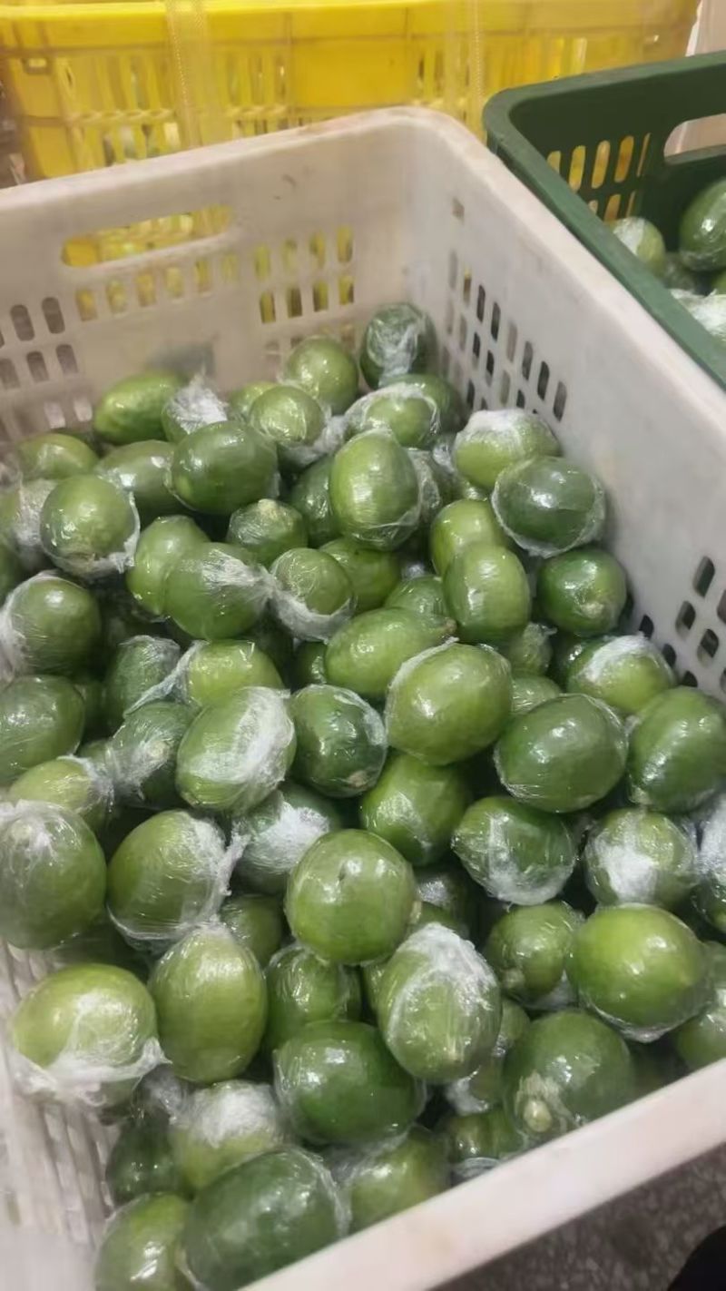 广东无籽香水柠檬，一级二级，大量供应，欢迎合作