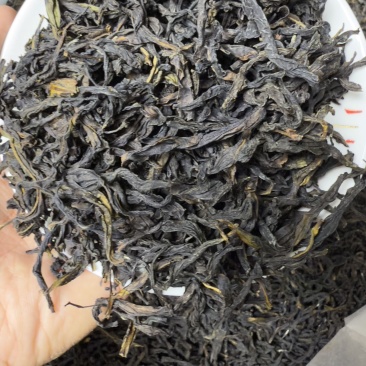 凤凰单丛茶鸭屎香蜜兰香大乌叶