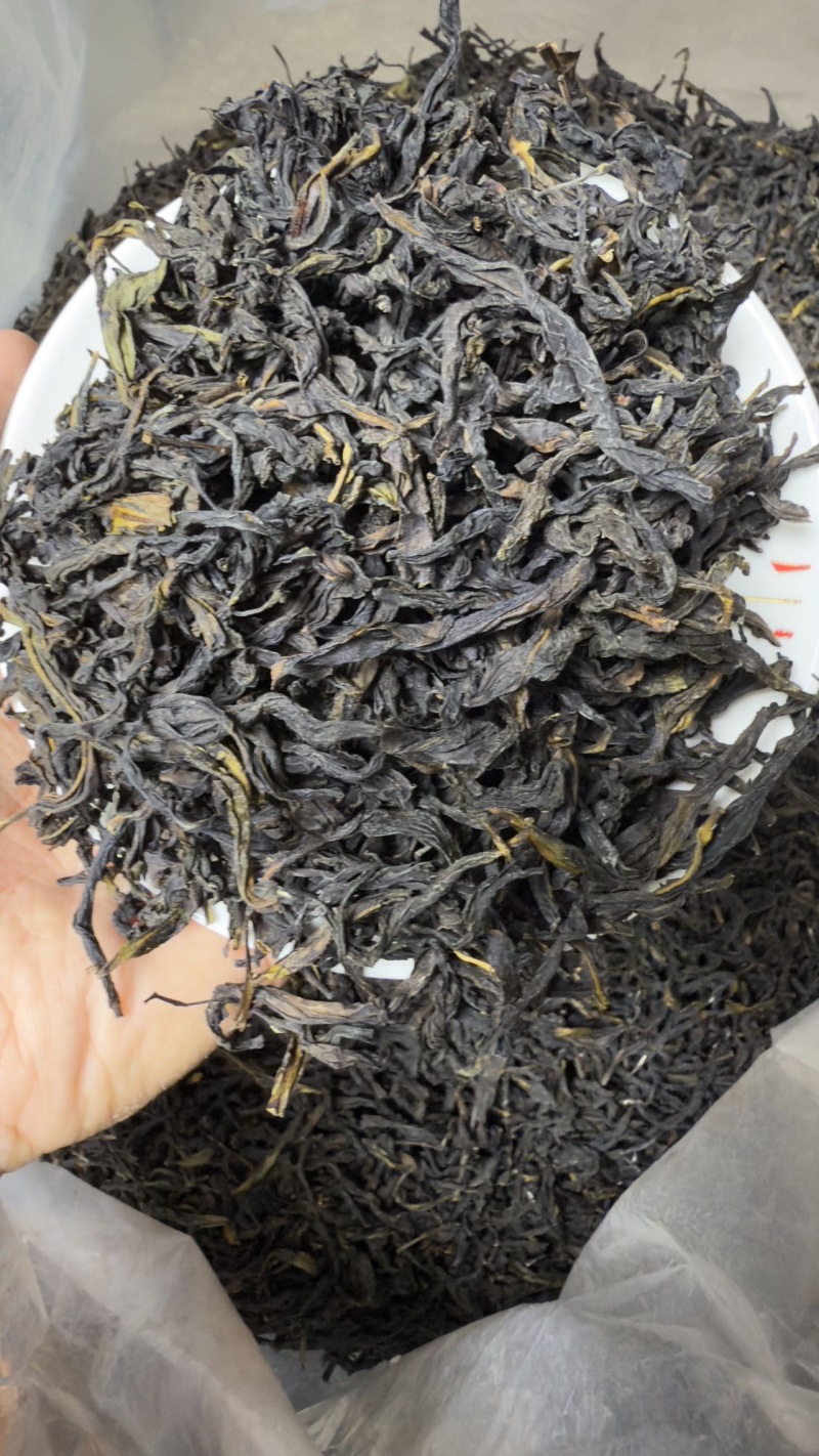 凤凰单丛茶鸭屎香蜜兰香大乌叶