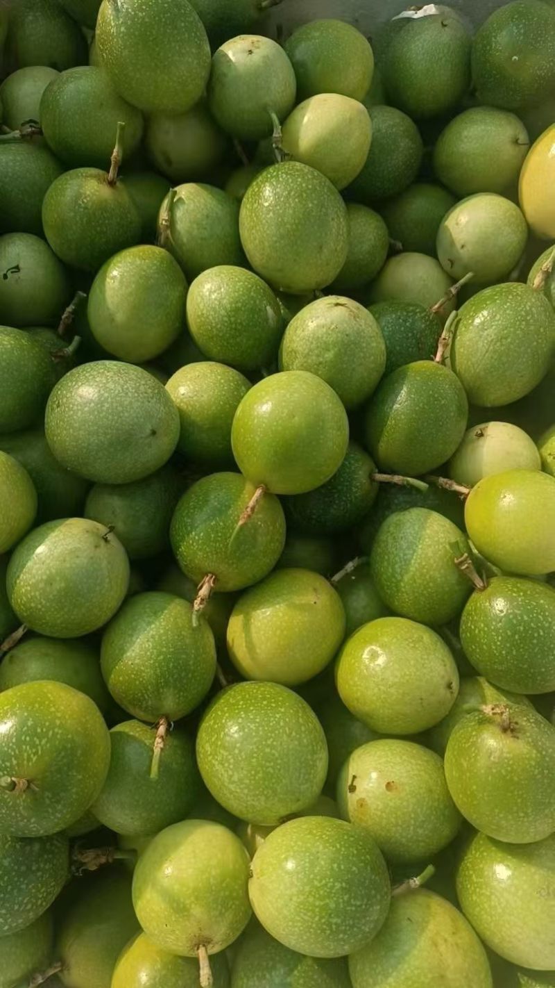 黄金百香果