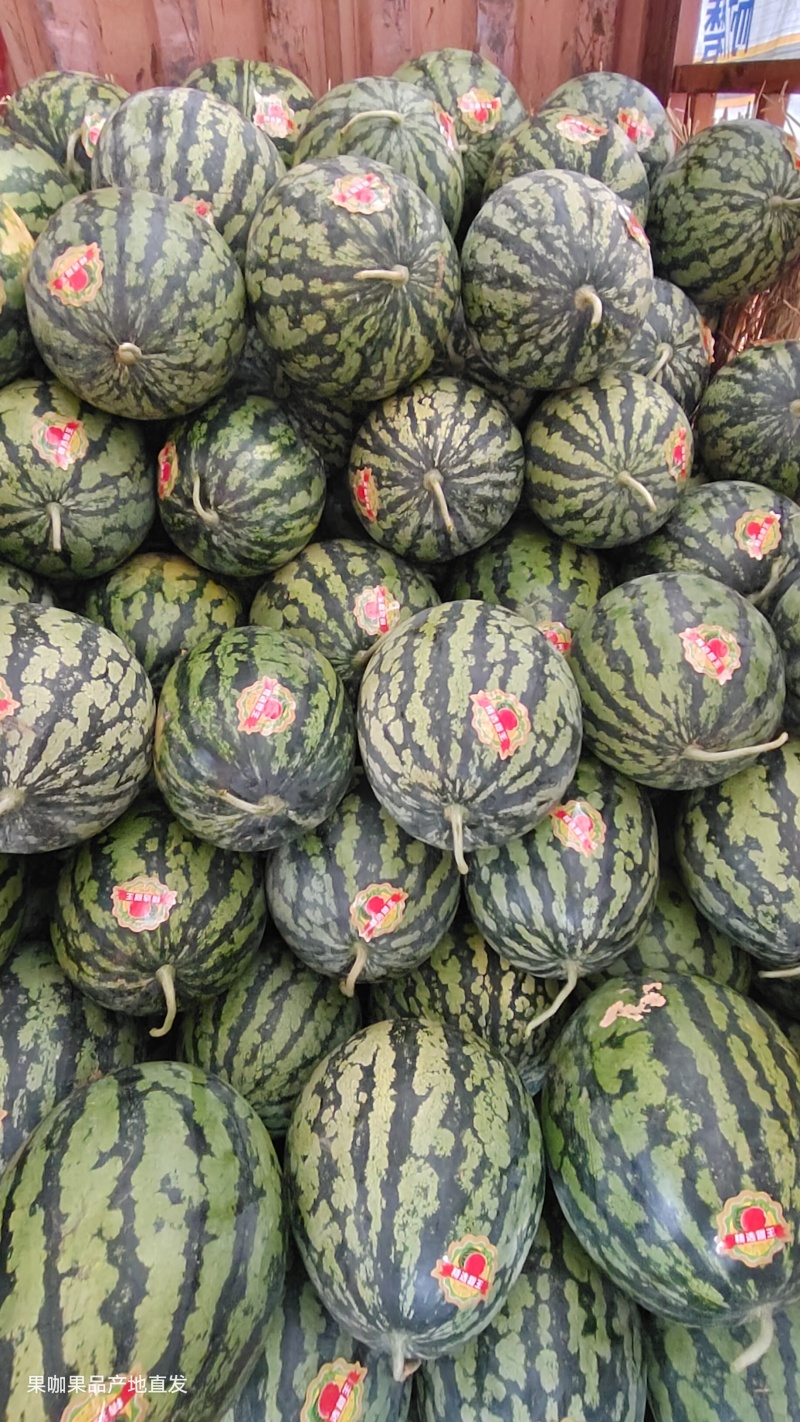 【推荐】广西甜王西瓜大量接单产地直发欢迎来电