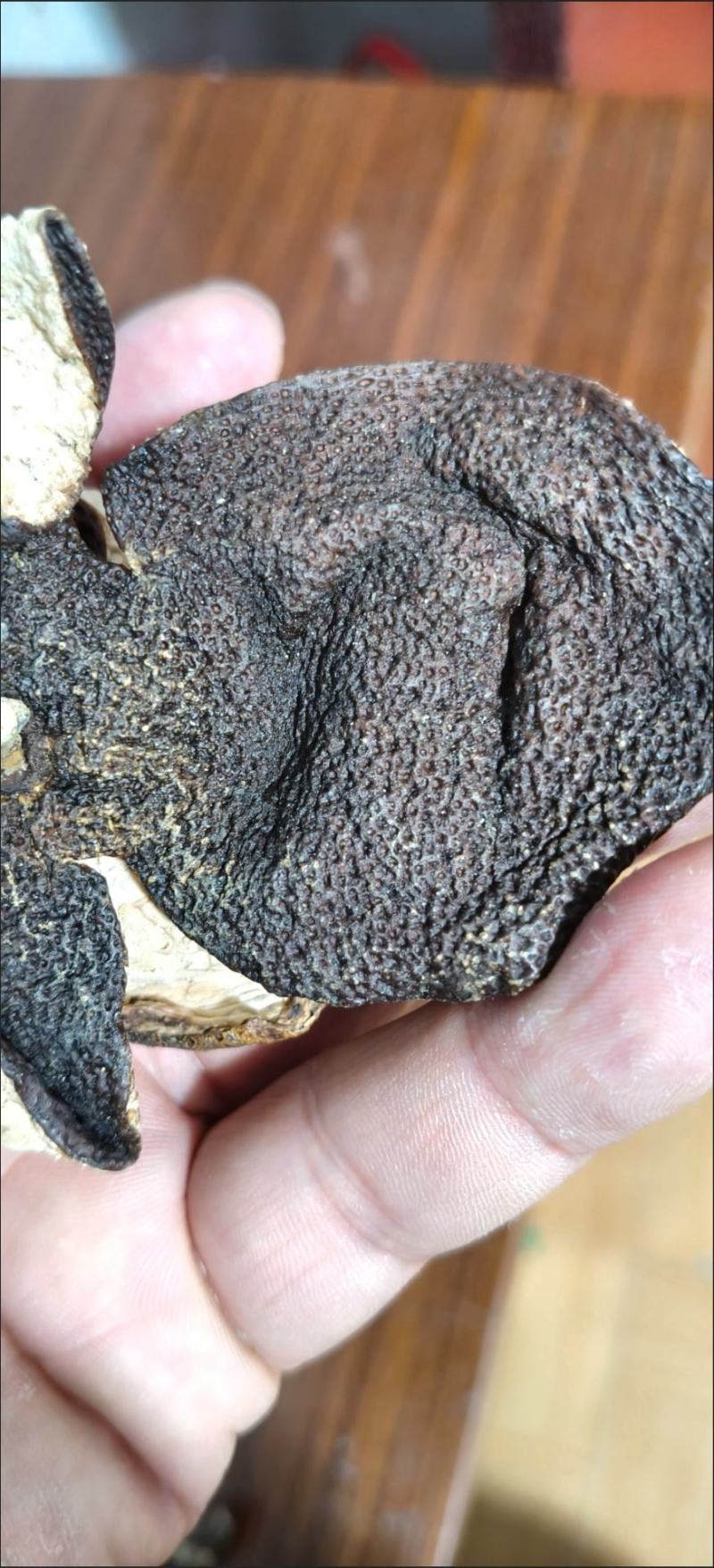 正宗老陈皮广东新会老陈皮泡水泡茶调味批发零售