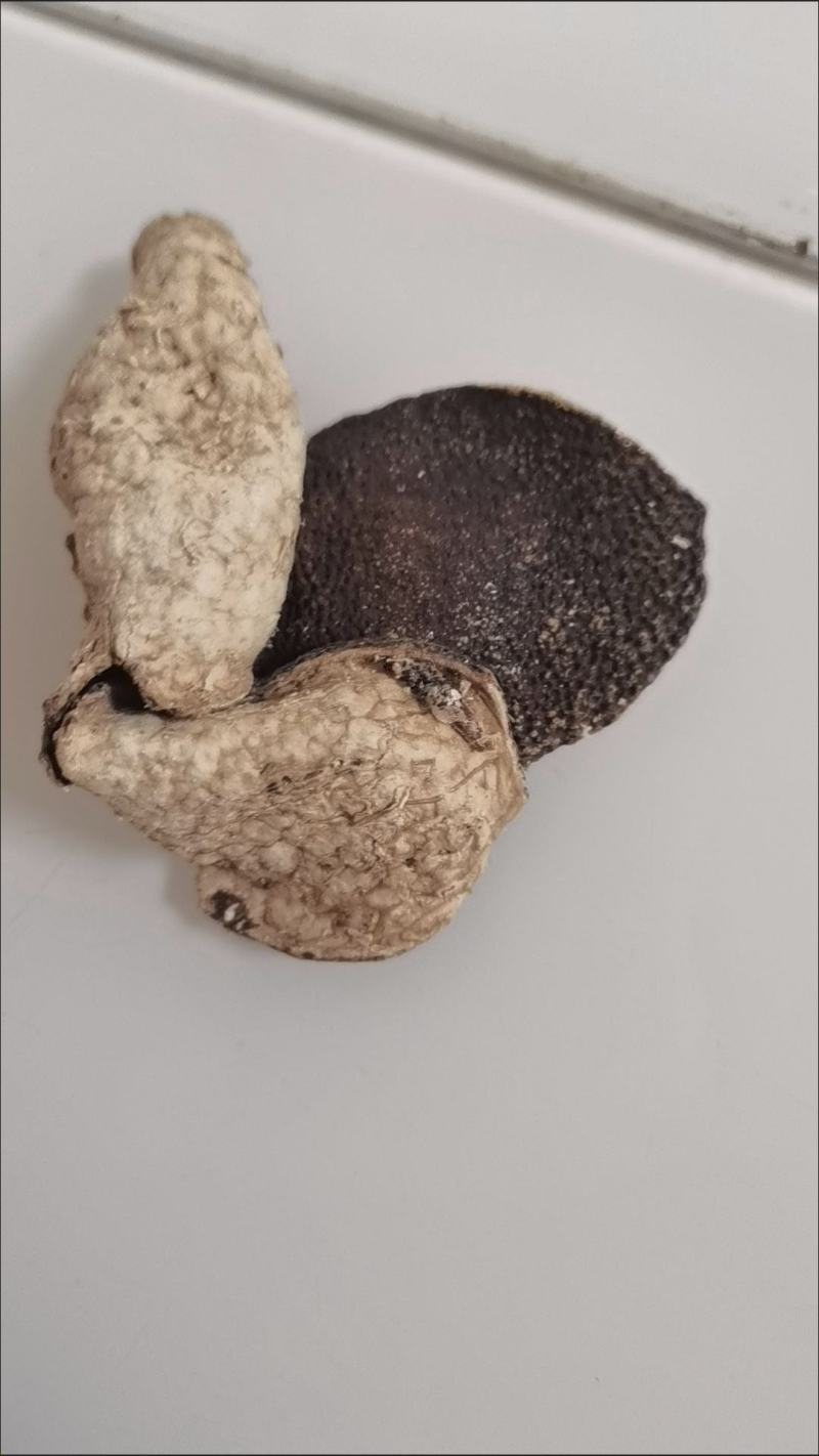 正宗老陈皮广东新会老陈皮泡水泡茶调味批发零售