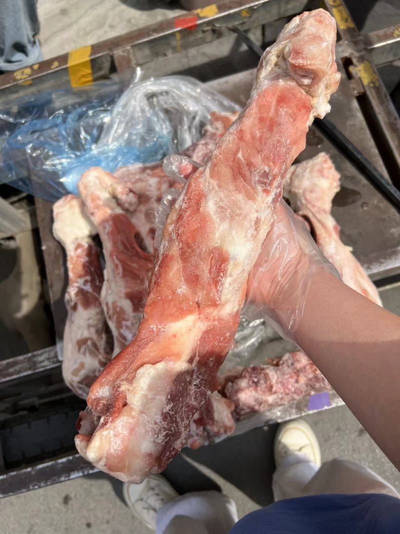 带肉30后腿骨