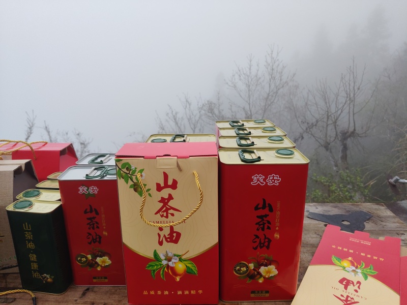 高山小籽原榨山茶油