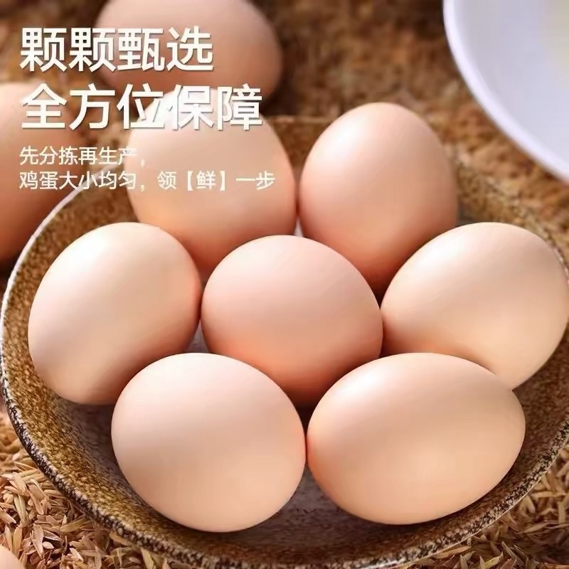 【精品鸡蛋】正宗土鸡蛋，价格优惠，质量保证
