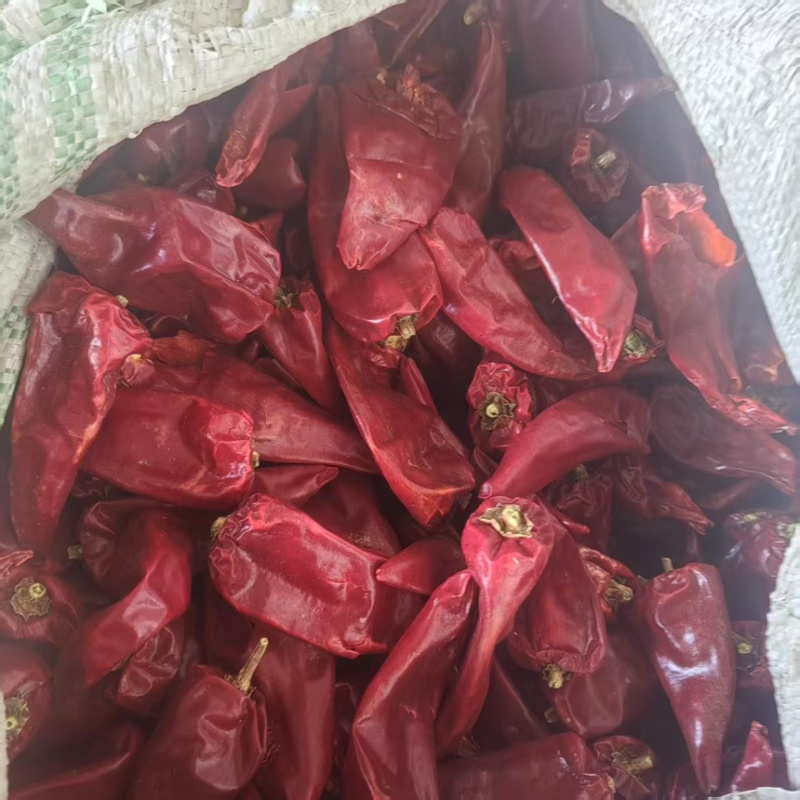 子弹头干辣椒，精选河南干辣椒一手货源量大从优欢迎