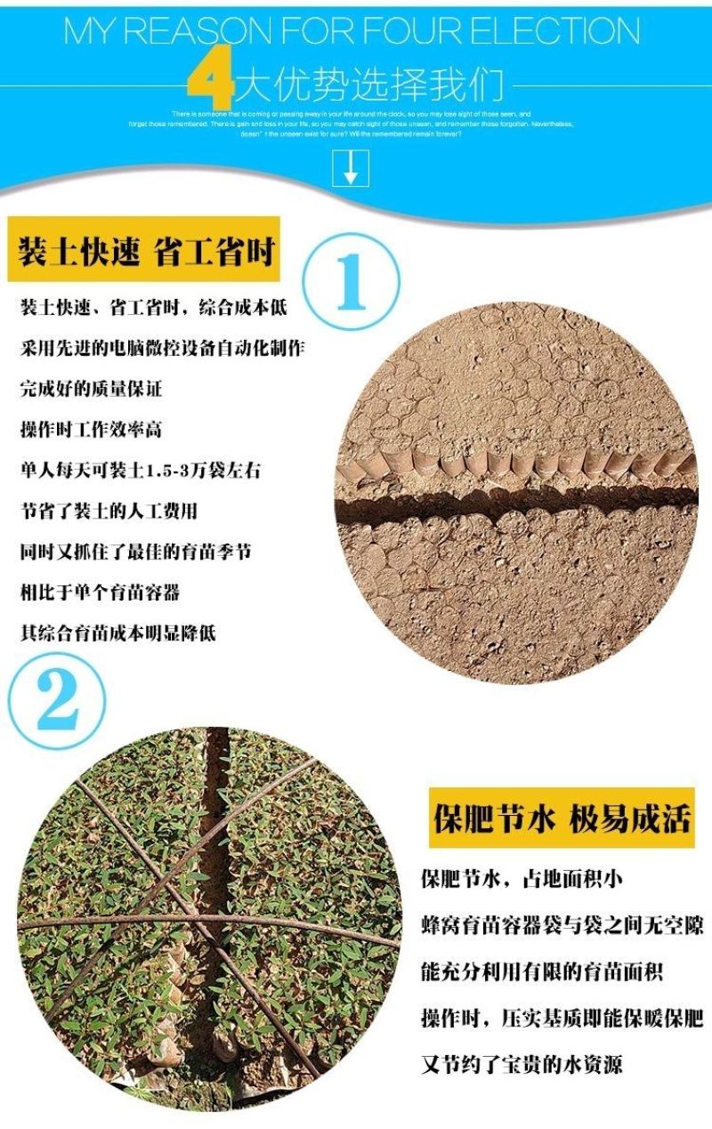 蜂窝育苗袋