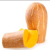 湛江老南瓜