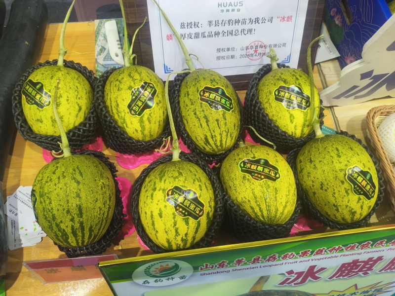 冰麒麟蜜瓜