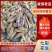 七彩花生七彩花生米云南七彩花生缅甸七彩花生产地直发
