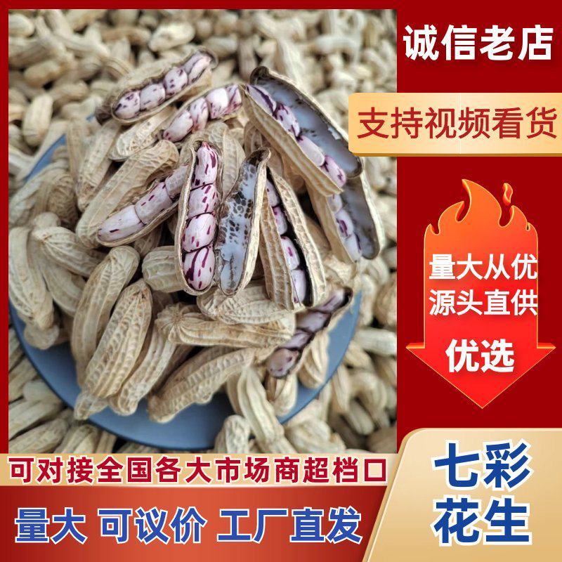 七彩花生七彩花生米云南七彩花生缅甸七彩花生产地直发