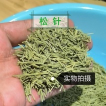松针中药材正品松针无杂质无硫自然阴干正品中药材