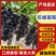 精品巨峰葡萄口感纯甜爆汁，果肉厚，基地直供，新鲜采摘