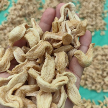 厂家直销直河南豆筋人造肉豆皮干货无盐豆肠素鸡翅素肉蛋白肉