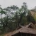 源头批发南雷河普洱茶生茶200克原始森林茶