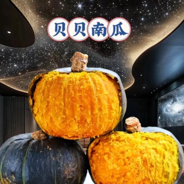 贝贝南瓜大量上市量大价优一手货源诚信经营欢迎来电