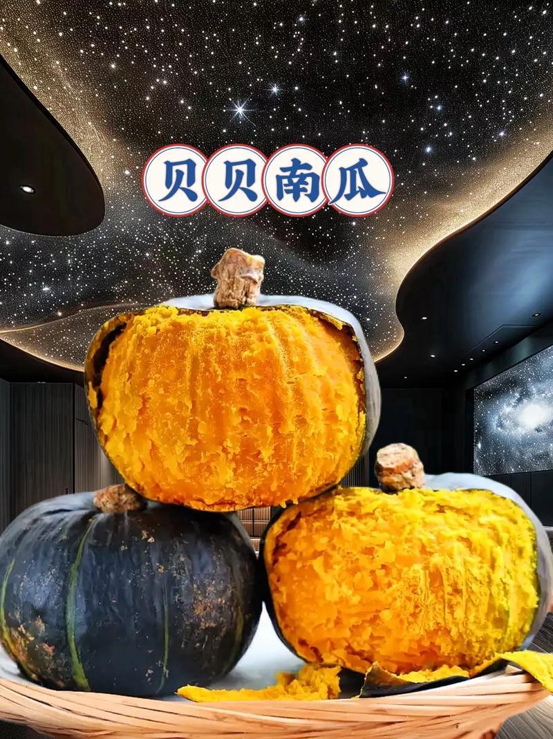 贝贝南瓜大量上市量大价优一手货源诚信经营欢迎来电