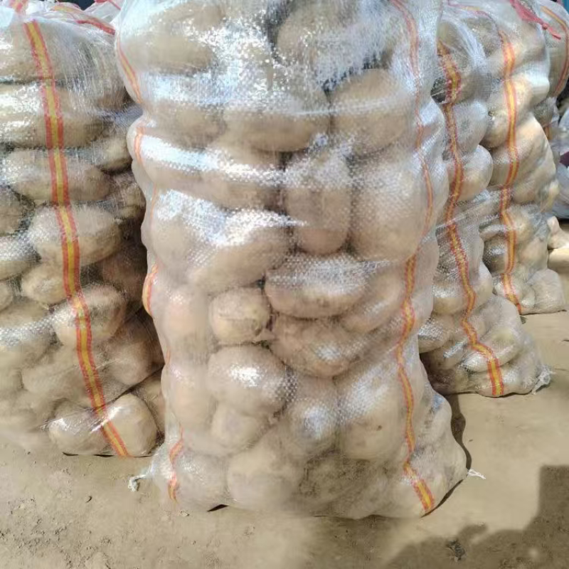 湖北精品黄心土豆大量上市品质保证量大从优一手货源