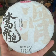 源头批发冰岛帝迫200克普洱茶生茶2019年