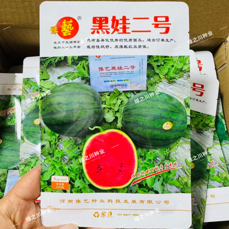 豫艺黑娃二号西瓜种子早熟脆甜大红瓤墨绿皮西瓜种籽耐裂