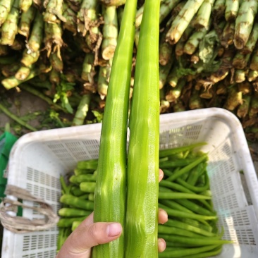 精品莴笋肉，食堂莴笋肉都有价格便宜