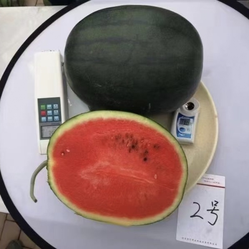 豫艺黑娃二号西瓜种子早熟脆甜大红瓤墨绿皮西瓜种籽耐裂