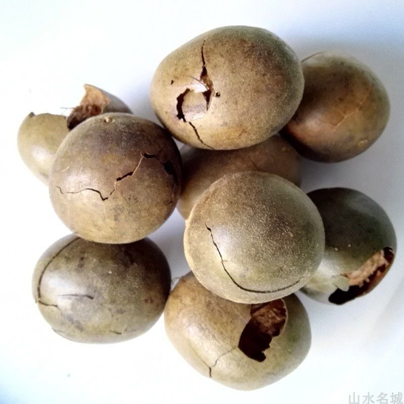 罗汉果大果广西桂林正宗当季干果散装凉茶特产罗汉果批发