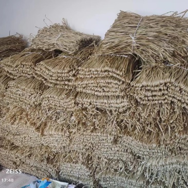 纯红薯粉条，***，自己在家里做的