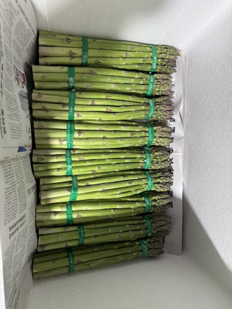 芦笋基地，现采现发，长期合作
