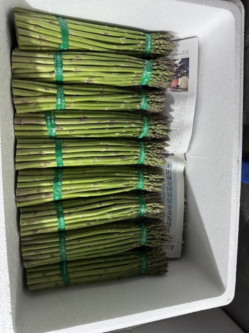 芦笋基地，现采现发，长期合作