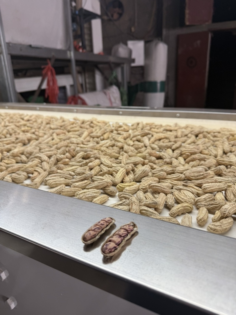 七彩花生带壳干果品质保证价格美丽欢迎联系
