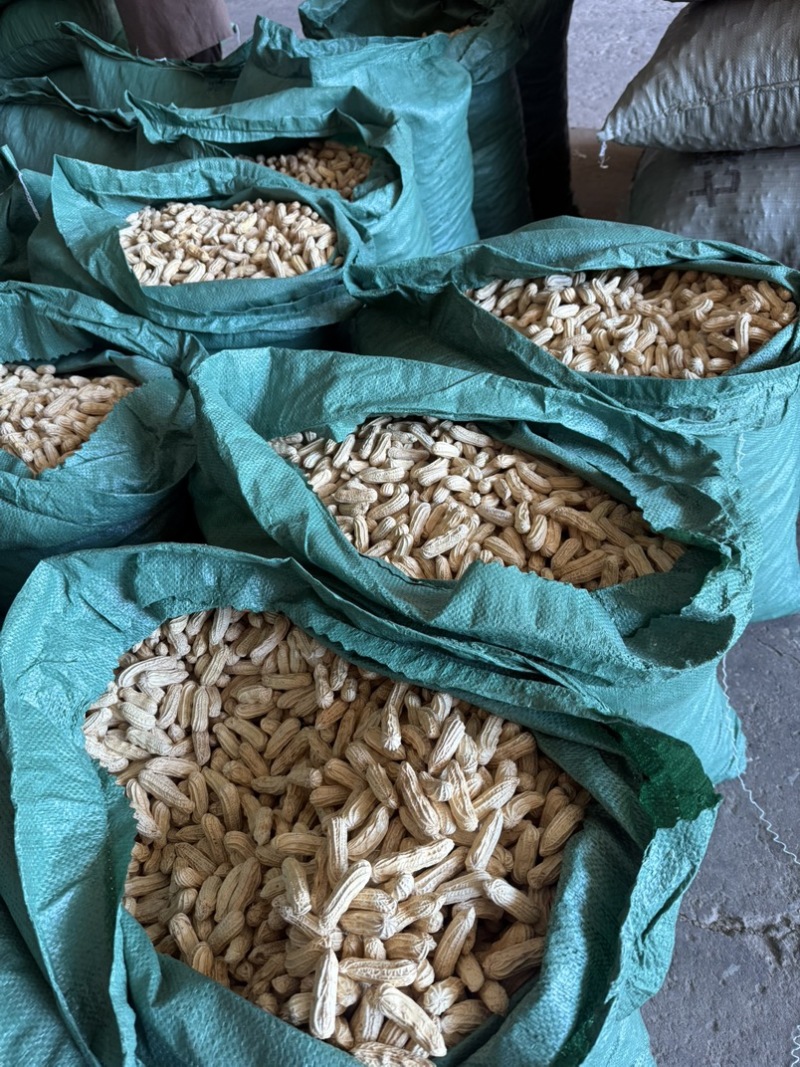 七彩花生带壳干果品质保证价格美丽欢迎联系