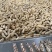 七彩花生带壳干果品质保证价格美丽欢迎联系