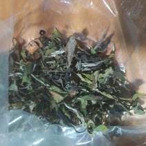 源头批发滑竹梁子云南白茶散茶高山白茶