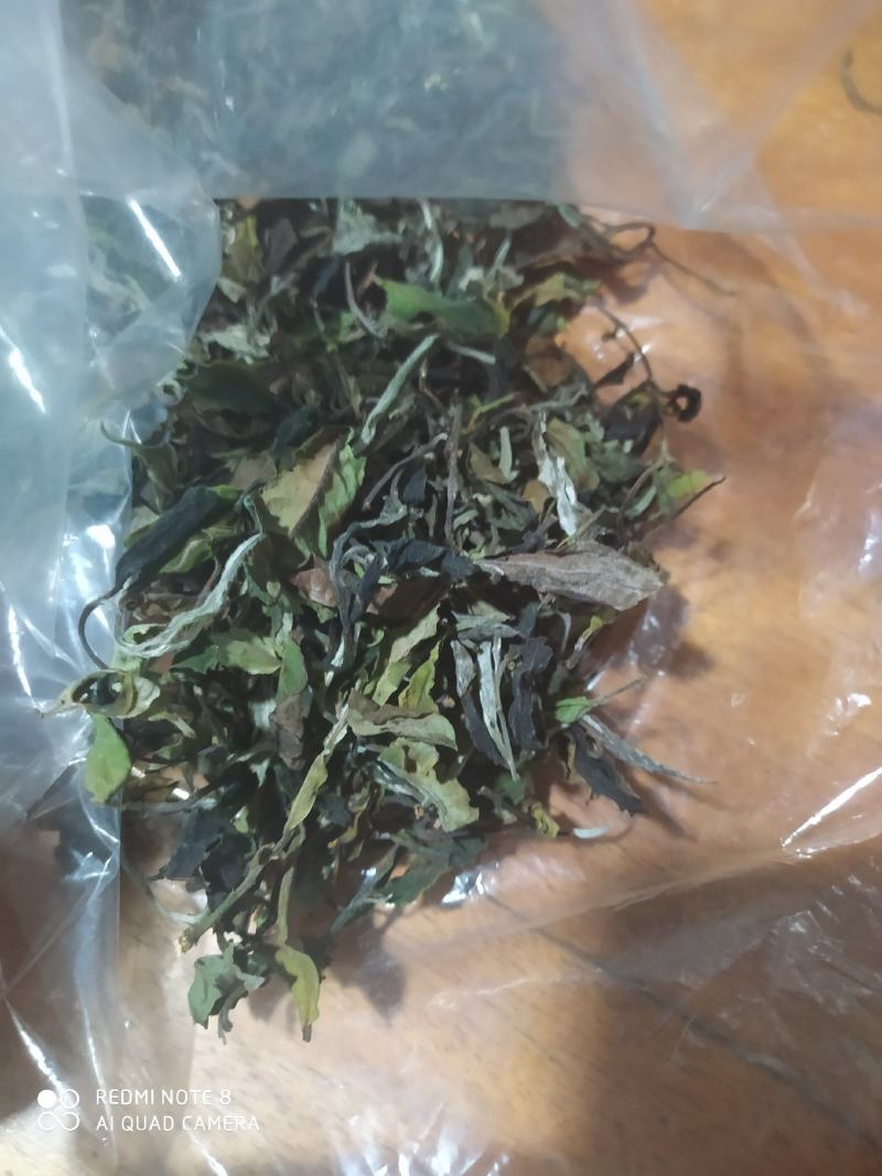 源头批发滑竹梁子云南白茶散茶高山白茶