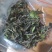 源头批发滑竹梁子云南白茶散茶高山白茶