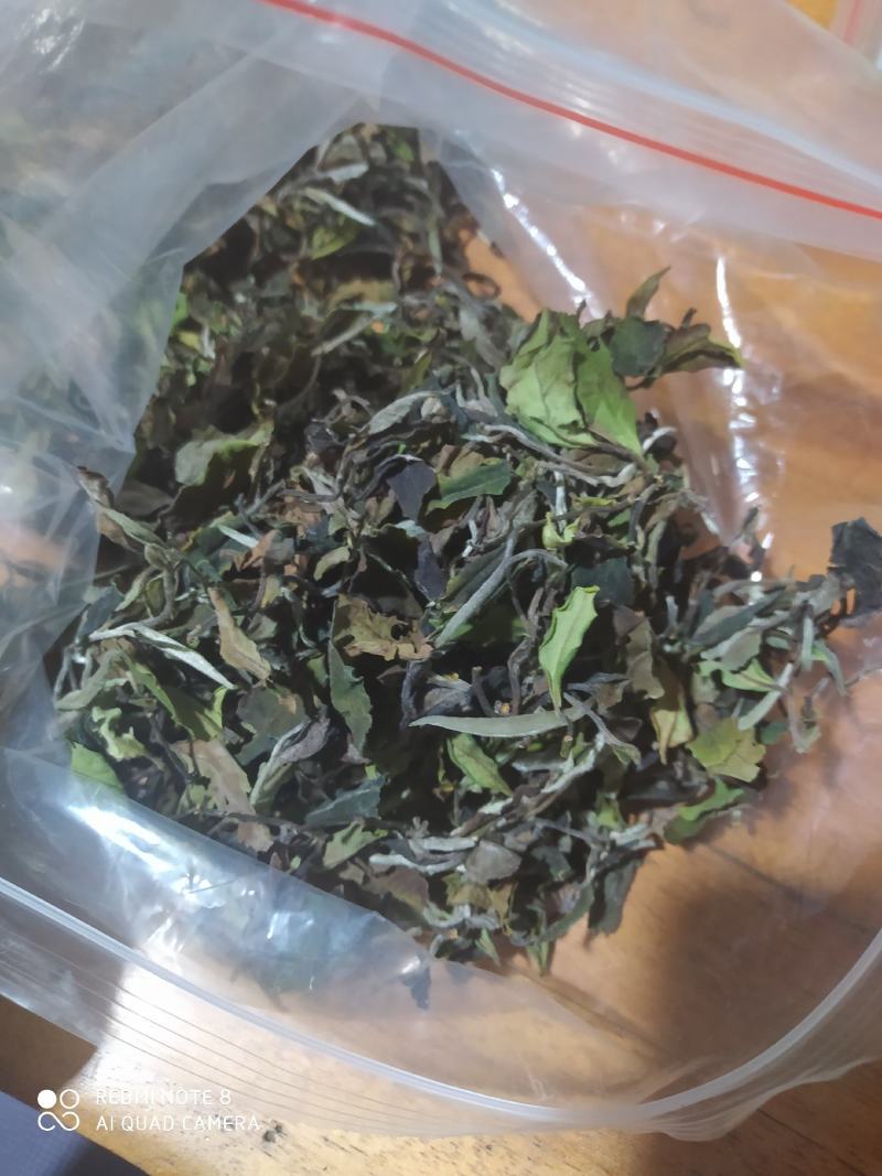 源头批发滑竹梁子云南白茶散茶高山白茶